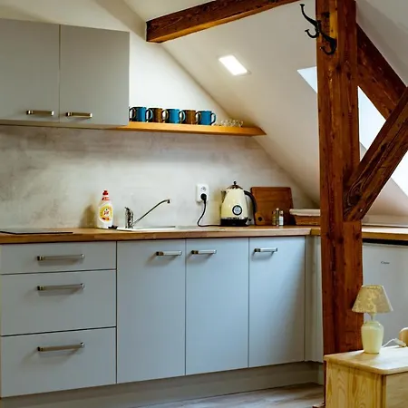 Pod Zámkem Apartamento *